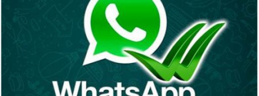 Whatsapp: sin miedo a reinventar