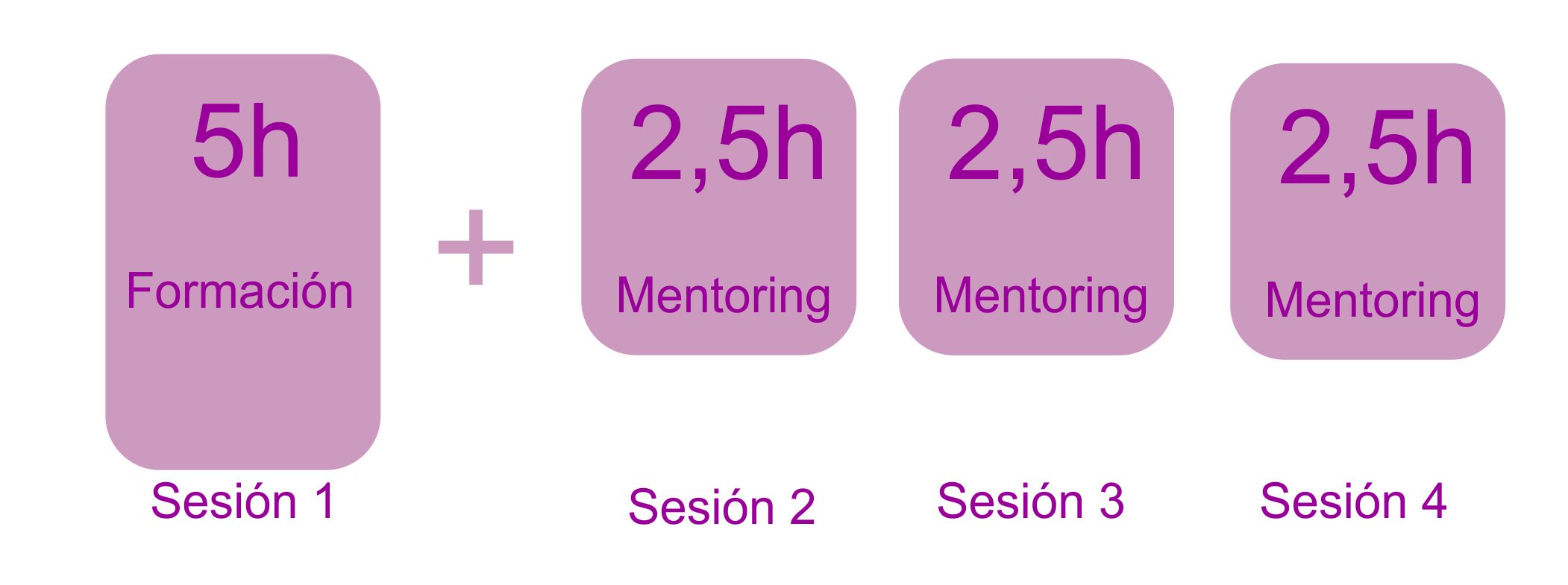 1 sesión formación+ 3 mentorización